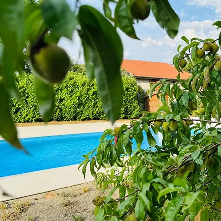 Beautiful With Pool, Garden Near Biarritz 度假居 Auterrive