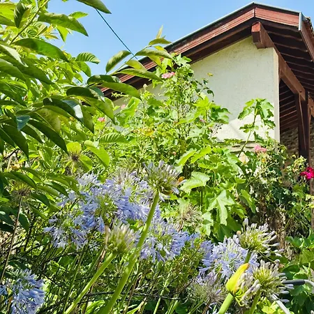 Beautiful With Pool, Garden Near Biarritz * Auterrive
